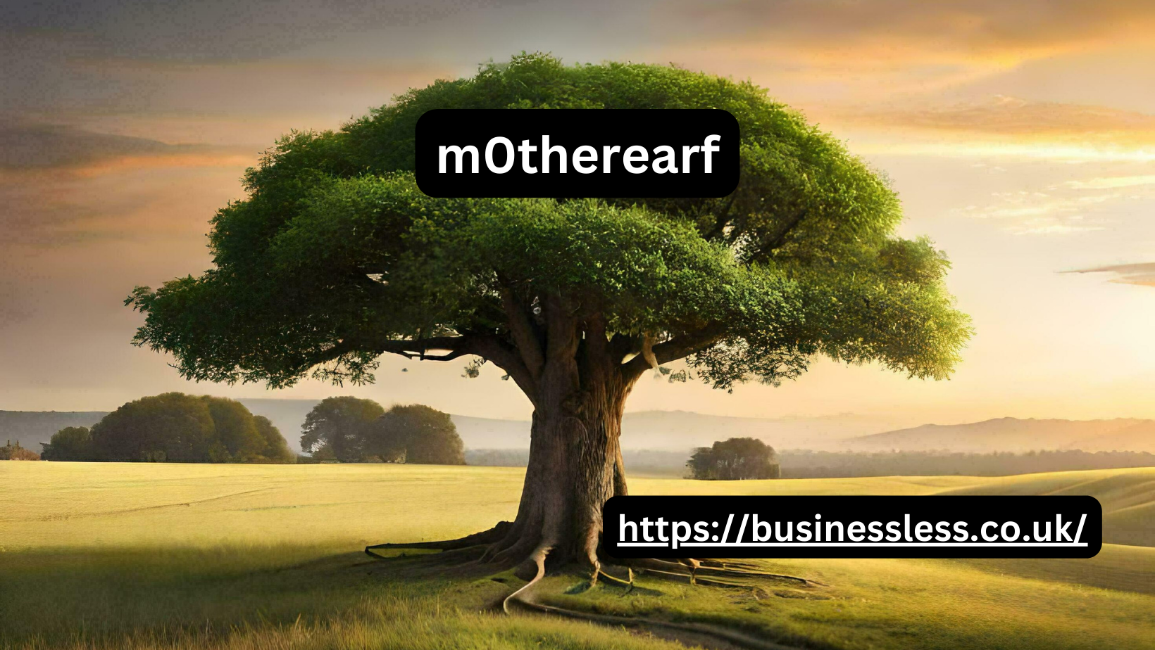 M0therearf Everything You Need to Know